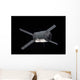 Edoardo Amaldi Automated Transfer Wall Decal Design 2