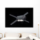 Edoardo Amaldi Automated Transfer Wall Decal Design 2