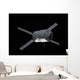 Edoardo Amaldi Automated Transfer Wall Decal Design 2