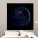 Full Earth Night Showing Wall Decal Design 2