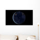 Digital Composite Earth's City Wall Decal