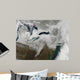 Satellite Large Nor'easter Snow Wall Decal Design 3