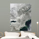 Satellite Large Nor'easter Snow Wall Decal Design 2