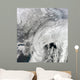 Satellite Large Nor'easter Snow Wall Decal Design 1