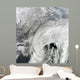 Satellite Large Nor'easter Snow Wall Decal Design 1