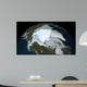 Planet Earth Showing Sea Wall Decal Design 2