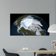 Planet Earth Showing Sea Wall Decal Design 2