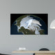 Planet Earth Showing Sea Wall Decal Design 1