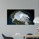 Planet Earth Showing Sea Wall Decal Design 1