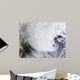 Winter Storm over Eastern Wall Decal