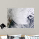 Winter Storm over Eastern Wall Decal