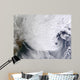 Winter Storm over Eastern Wall Decal