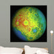 Lunar Topography Globe Wall Decal