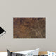 Satellite Kansas City Missouri Wall Decal Design 2