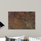 Satellite Kansas City Missouri Wall Decal Design 2