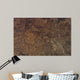 Satellite Kansas City Missouri Wall Decal Design 2