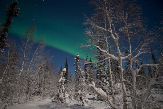 Green Aurora Prelude Lake Wall Decal