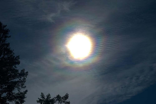 Solar Halo Wall Decal Design 2