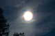 Solar Halo Wall Decal Design 2