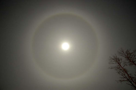Moon Halo Wall Decal