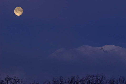 Moon Dawn Wall Decal Design 1