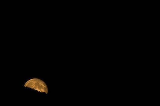 Moonrise Wall Decal Design 2