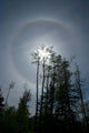 Solar Halo Wall Decal Design 1