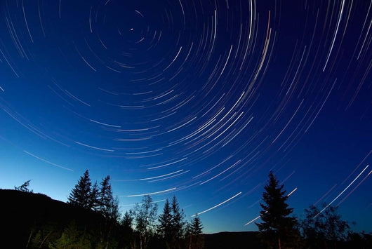 Star Trails Dusk Wall Decal Design 2