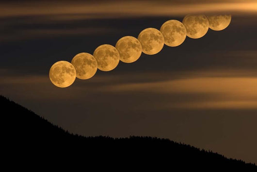 Full Moonrise Wall Decal