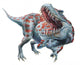 Tarbosaurus Roars Wall Decal