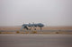 Mq-1c Warrior Taxis out Wall Decal
