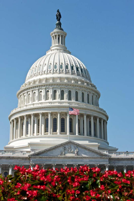 United States Capitol Building Wall Decal Design 3