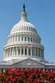 United States Capitol Building Wall Decal Design 3