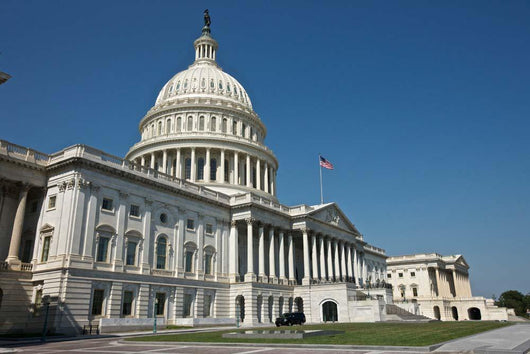 United States Capitol Building Wall Decal Design 2