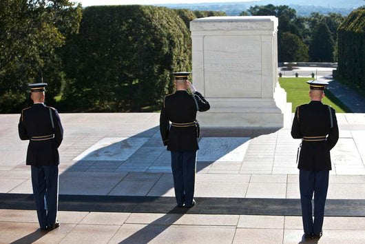 Changing Guard Arlington National Wall Decal Design 3