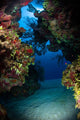 Underwater Crevice through Coral Wall Decal