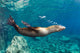 Sea Lion Blowing Bubbles Wall Decal