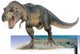 Tyrannosaurus Rex Walks His Domain Wall Decal