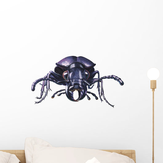 Violet Clickbeetle Insect Wall Decal
