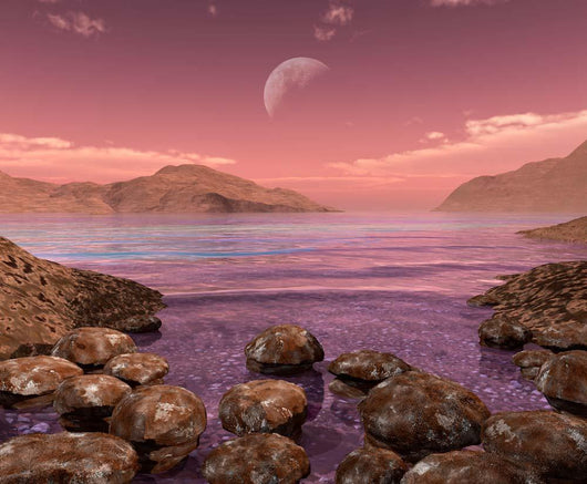 Artist's Concept Archean Stromatolites Wall Decal