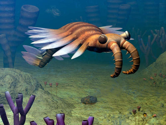 Cambrian Anomalocaris Ocean Wall Decal