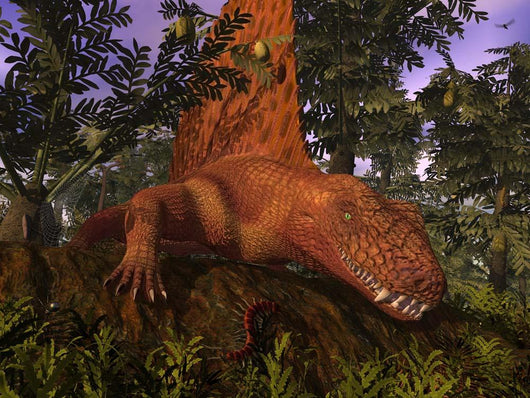 Dimetrodon amongst Alethopteris Ferns Wall Decal