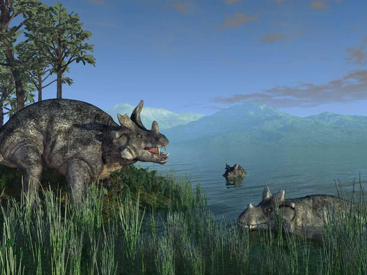 Three Estemmenosuchus Mirabilis Face Wall Decal