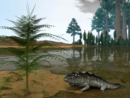 Late Devonian Ichthyostega Emerges Wall Decal