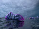 Portuguese Man O' War Wall Decal