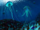 Swarm Jellyfish Swim Panthalassic Wall Decal Design 2