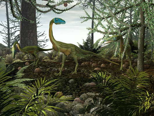 Coelophysis Dinosaurs Walk amongst Wall Decal