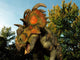 Albertaceratops Wanders Cretaceous Forest Wall Decal