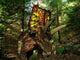 Colorful Pentaceratops Wanders Cretaceous Wall Decal