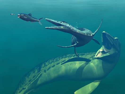 Marine Predators Cretaceous Period Wall Decal Design 2
